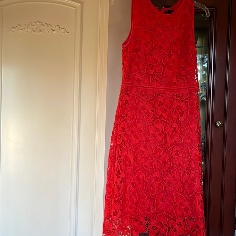 Orange crew neck dress